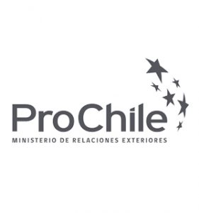ProChile - Punto Express